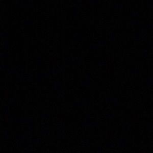 Meet your Posher, Padgett